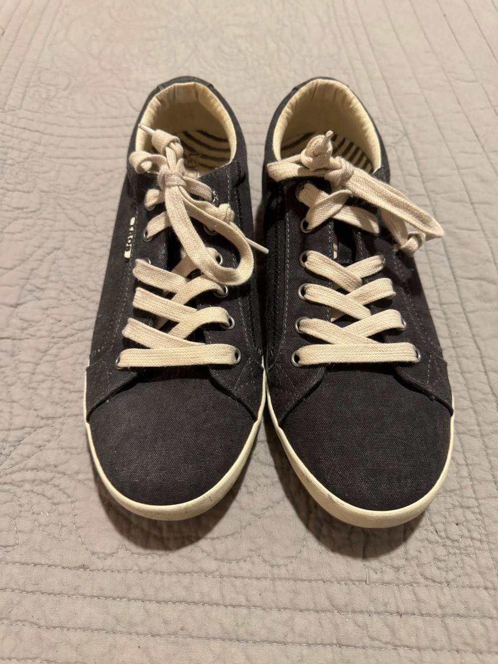 Tao’s Star Charcoal wash - Canvas Lace-Up Sneakers.  Fits like 9.5.